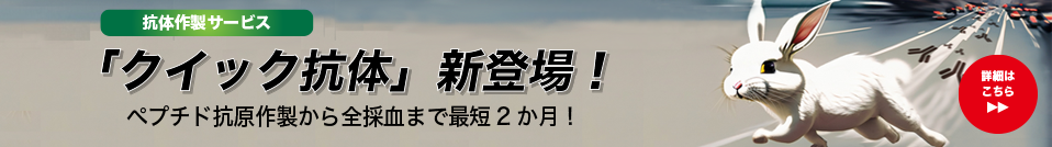 Intro Banner