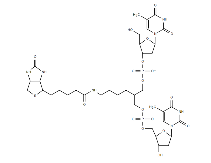 biotin-on internal